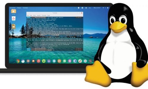 LINUX For Beginners