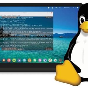 whizflix-linux-course