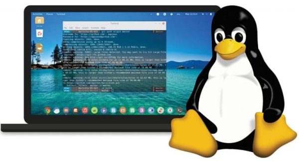 whizflix-linux-course